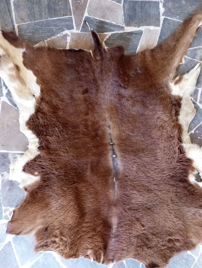 Skóra cielęca naturalna 120zł/szt