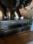 Odtwarzacz video Panasonic