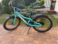 Rower dla dzieci Trek Precaliber 20