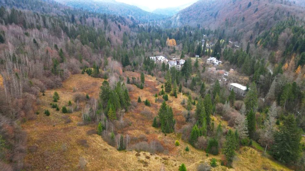 Продаж ділянки с. Гребенів біля річки