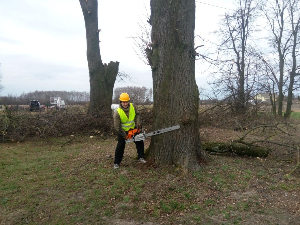 Cięcie drewna na kawałki