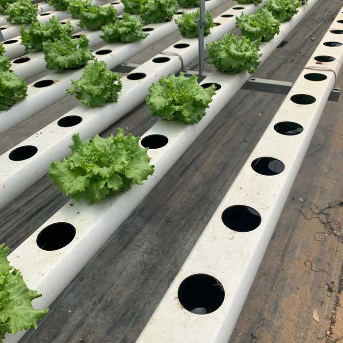 HIDROPONIA - Metro de Tubo Produção em 2 mão