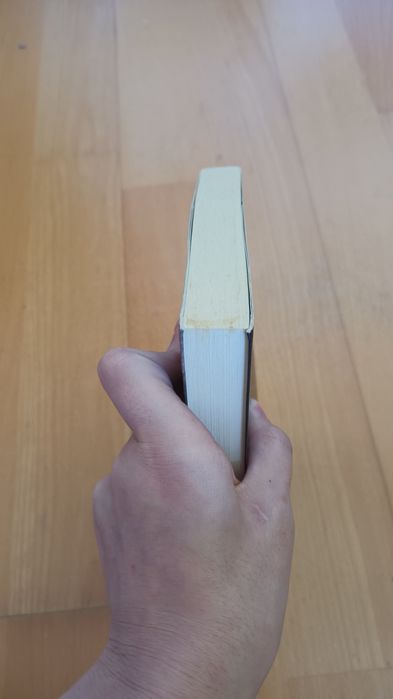 A iniciação - Jennifer Armintrout