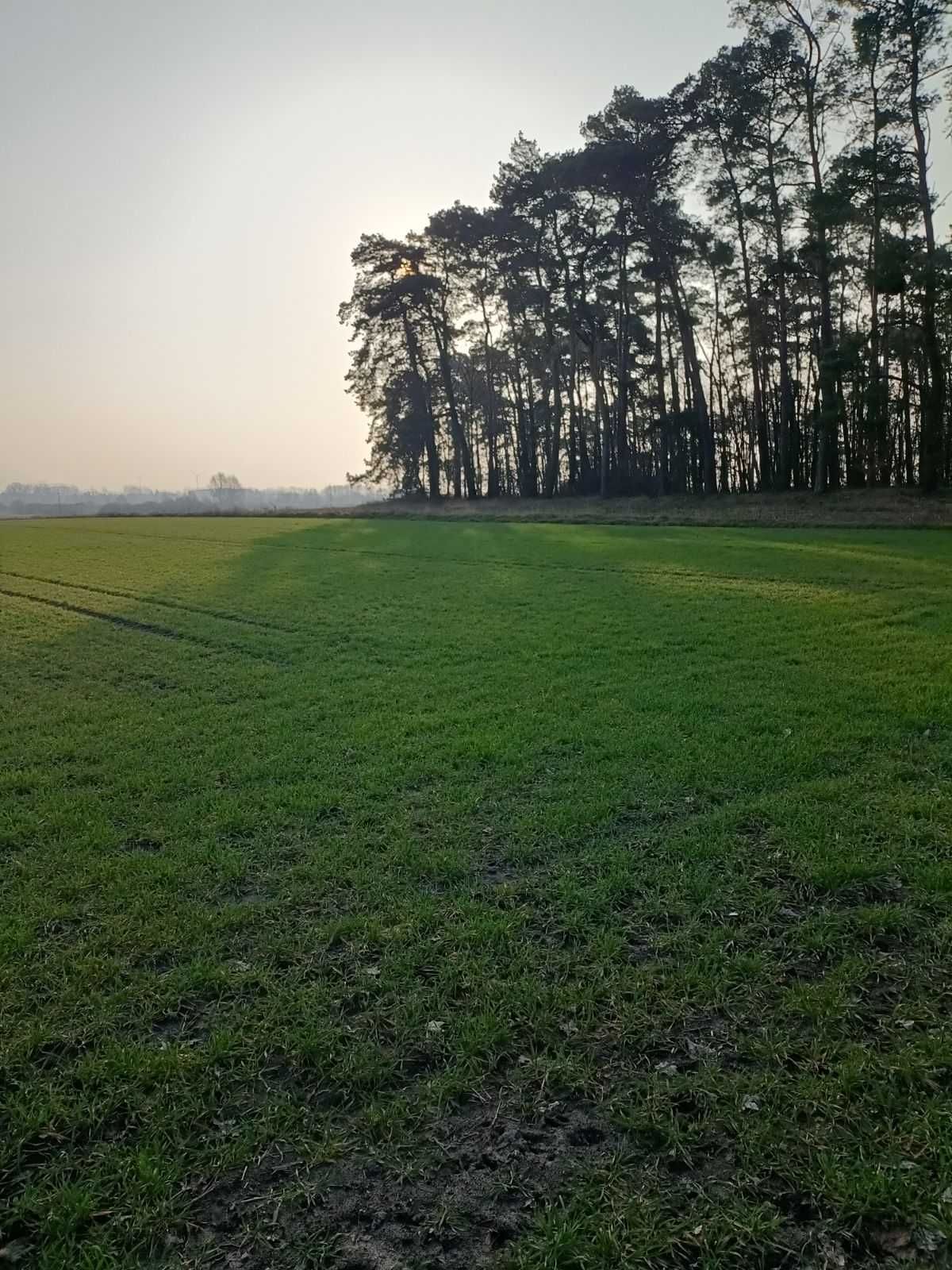 Sprzedam działkę nad jeziorem Gopło 15200 m2