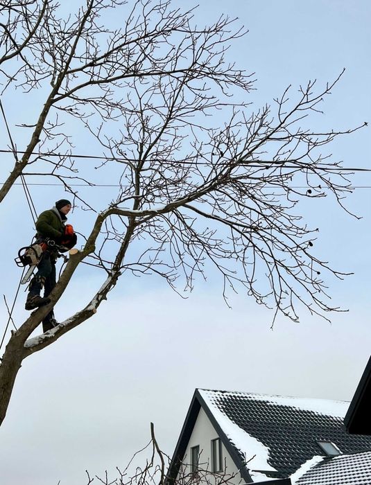 Спил деревьев,уборка территории