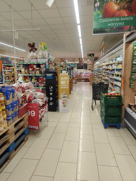 Lokal usługowo - handlowy