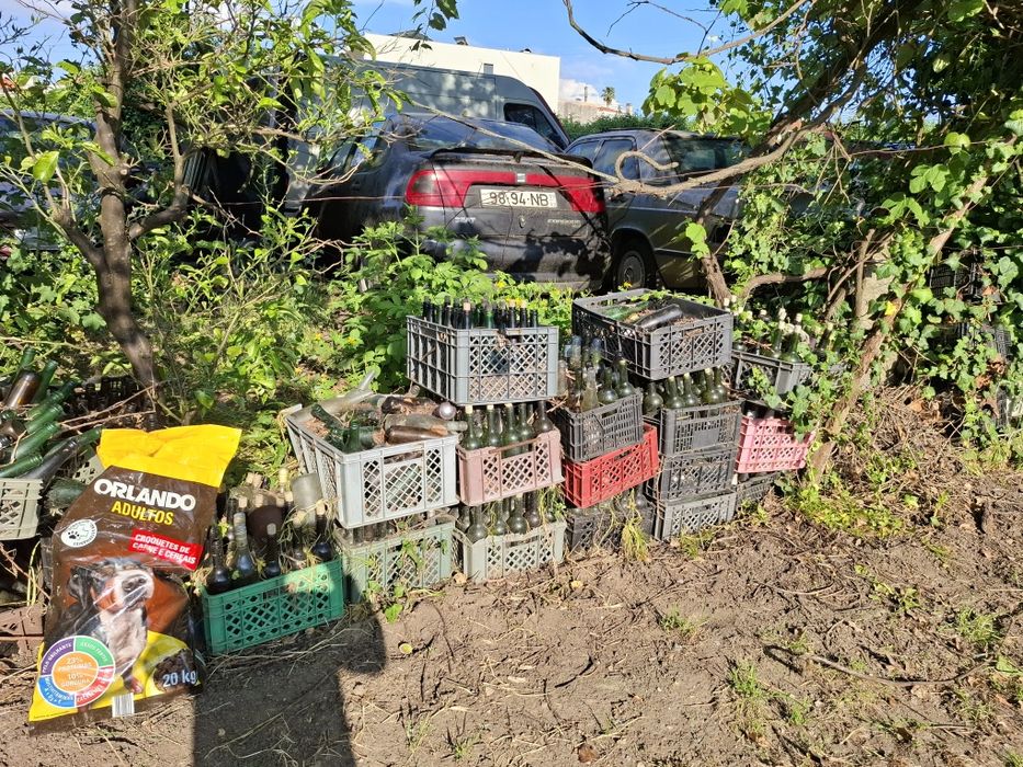 Garrafas de vinho e cerveja