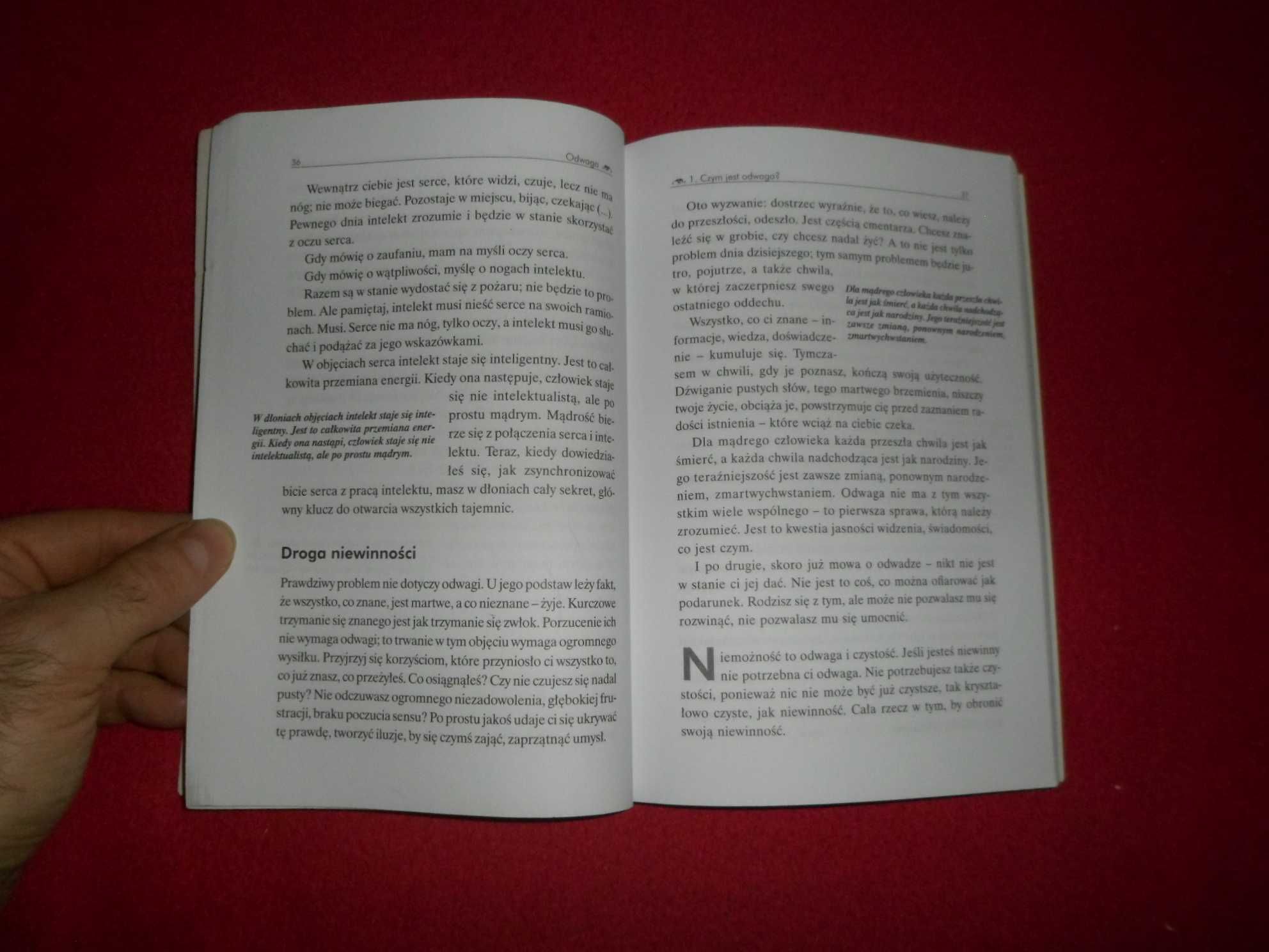 OSHO - Odwaga Radość niebezpiecznego życia