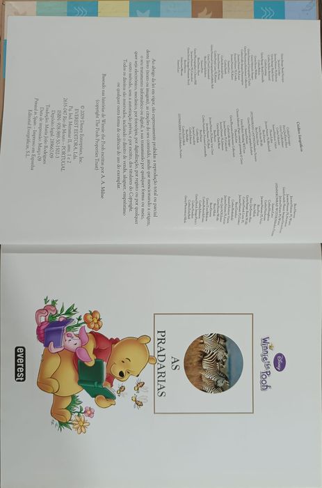 Winnie the pooh - As pradarias