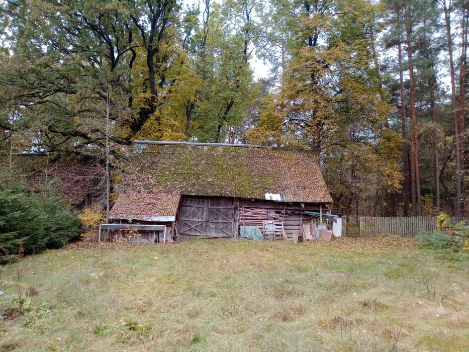 Działka z domkiem w otoczeniu przyrody