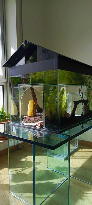 Vendemos aquário - gatário! Uma nova opção interessante!