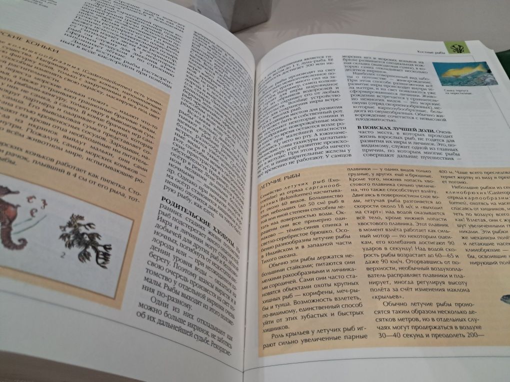 Книга энциклопедия для детей. Биология. Аванта