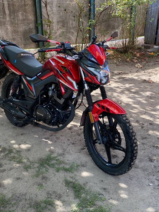 Мустанг фортуна 200