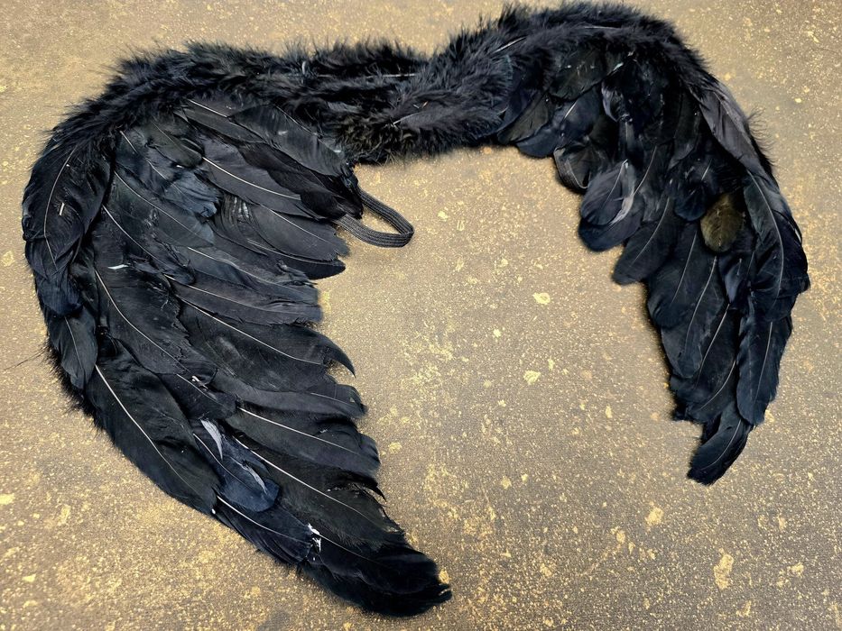 Nowe czarne Skrzydła przebranie dla dzieci HIT