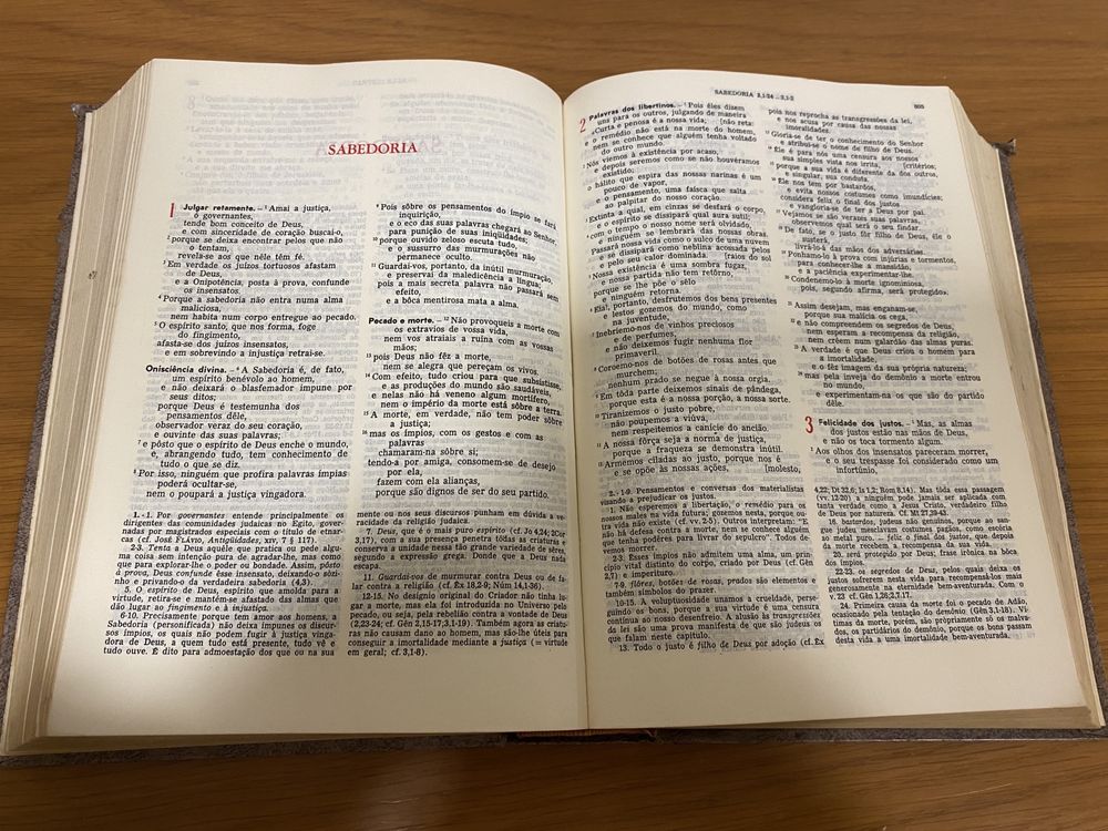 Biblia sagrada antiga