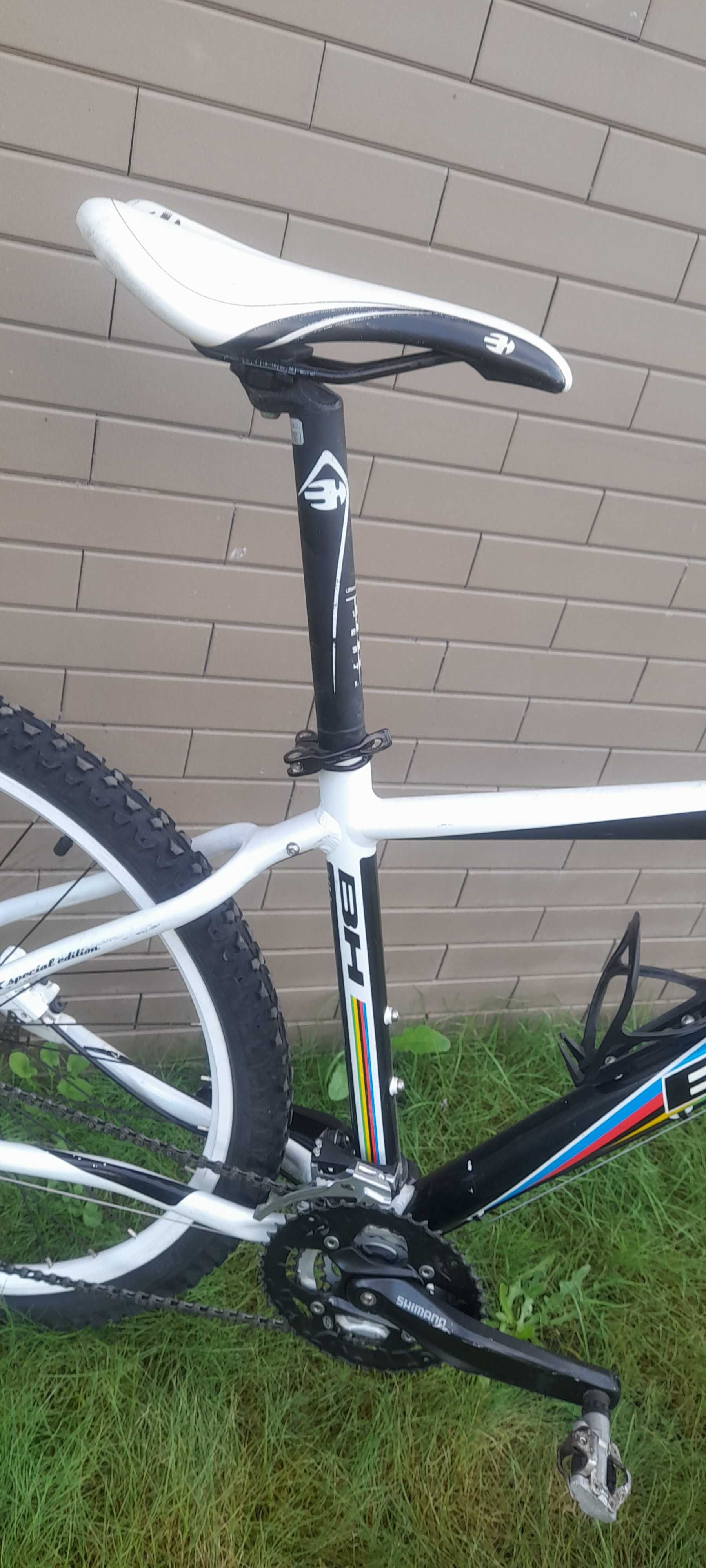 btt bh word champion
