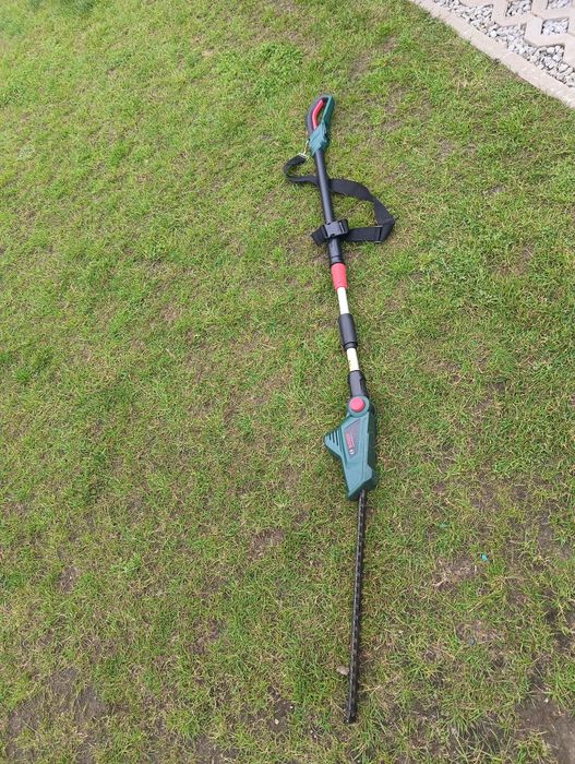 Norzyce do cięcia żywopłotu