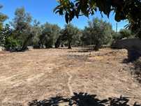 Terreno / Gouveia, Cativelos