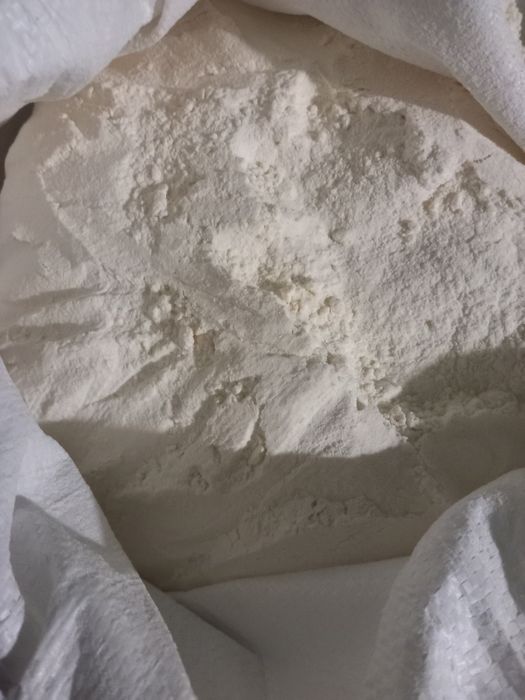 Pszenica ozima na mąkę lub paszę