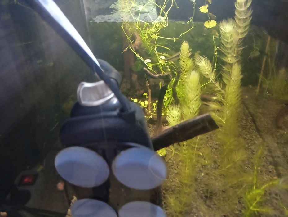 Aquael 112l akwarium