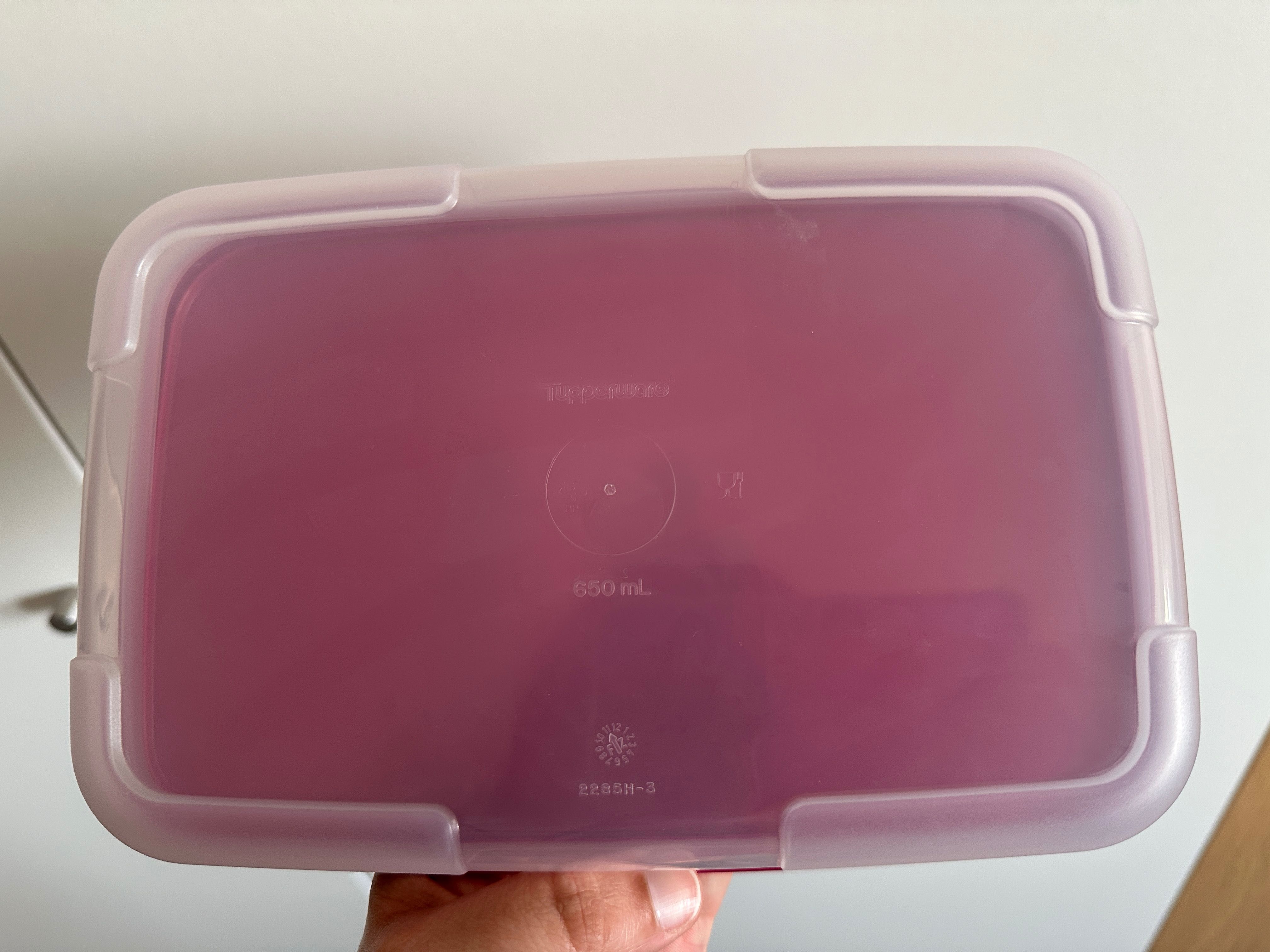 Caixa Refrigeradora 650 ml Tupperware