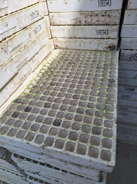 Multiplaty tacki styropianowe na rozsadę hydroponika  228 otworów