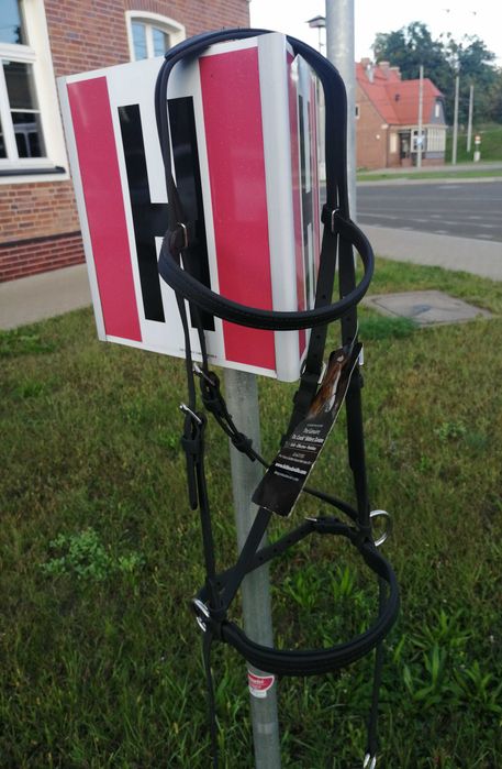 Ogłowie bezwędzidłowe