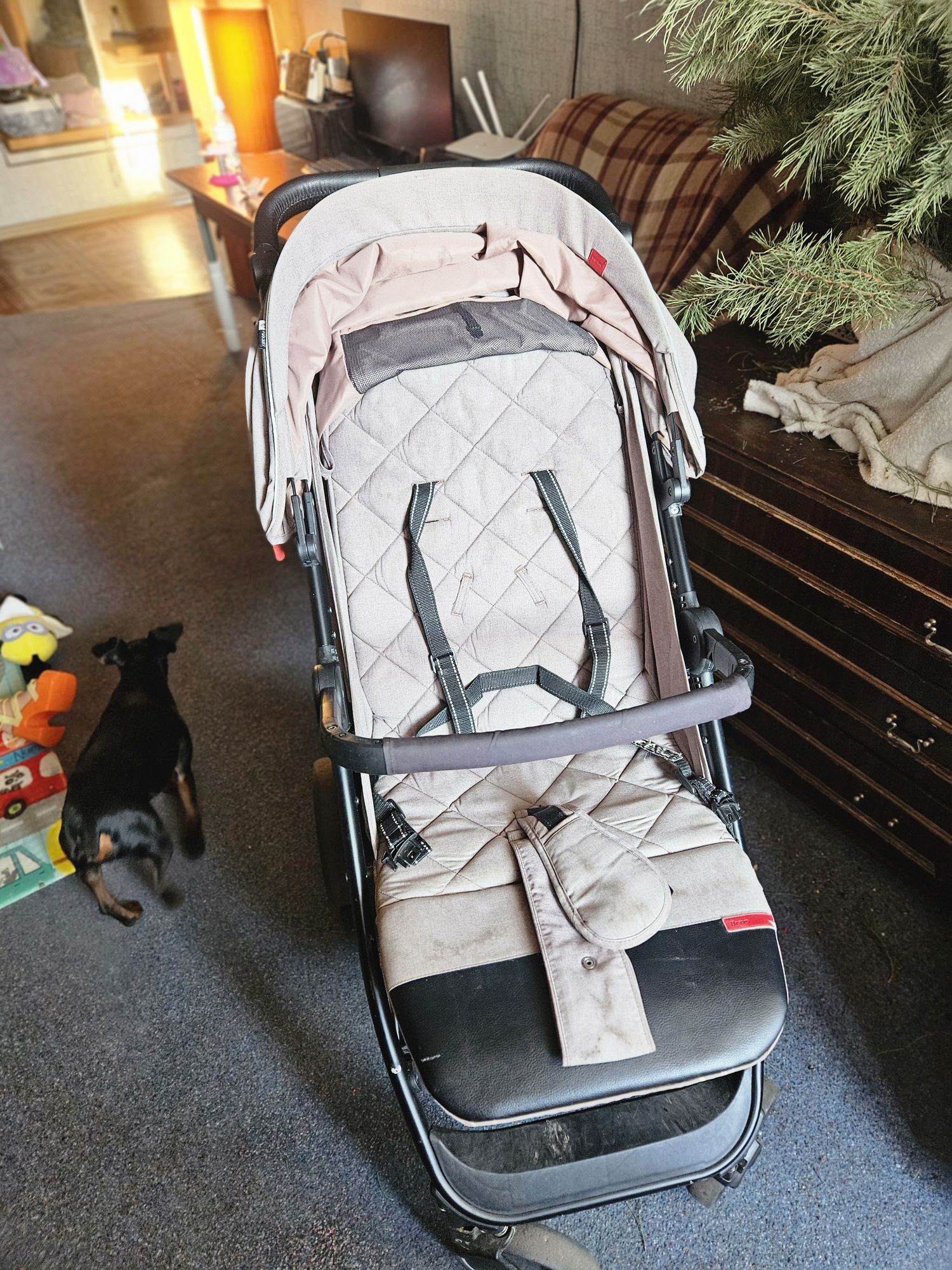 Коляска CARRELLO Bravo