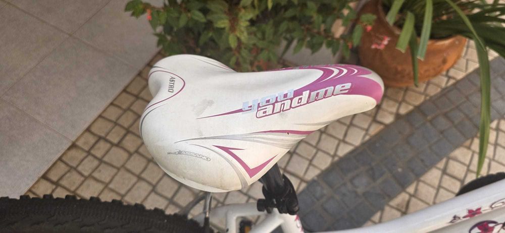 Bicicleta Venus roda 20
