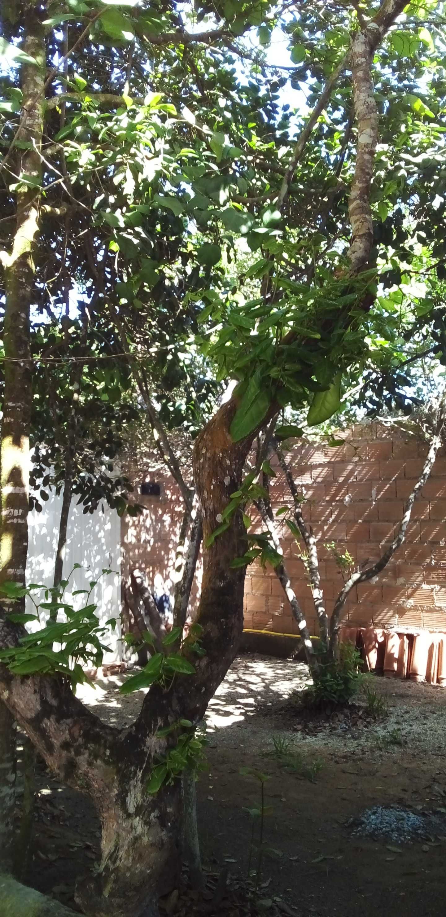 Venda Imediata 0A VISTA