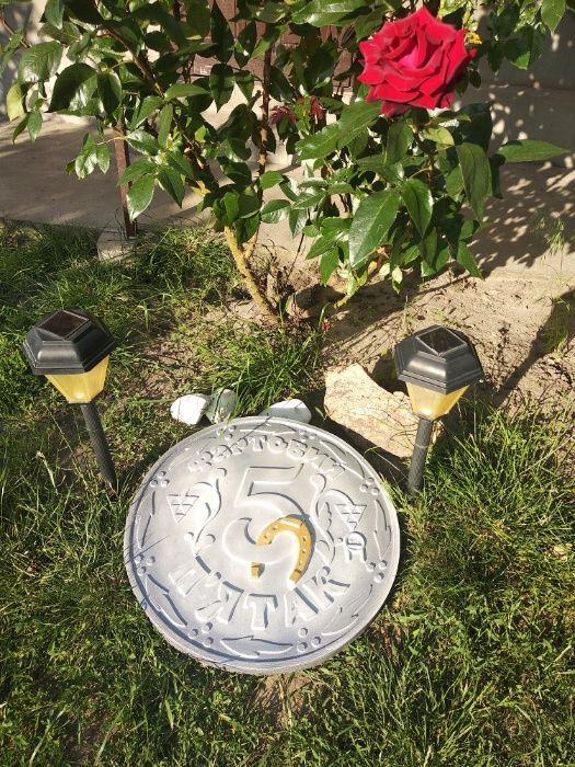 Садова фігура. Садова монета «ФАРТОВИЙ П’ЯТАК». Бетонна монета. Арт