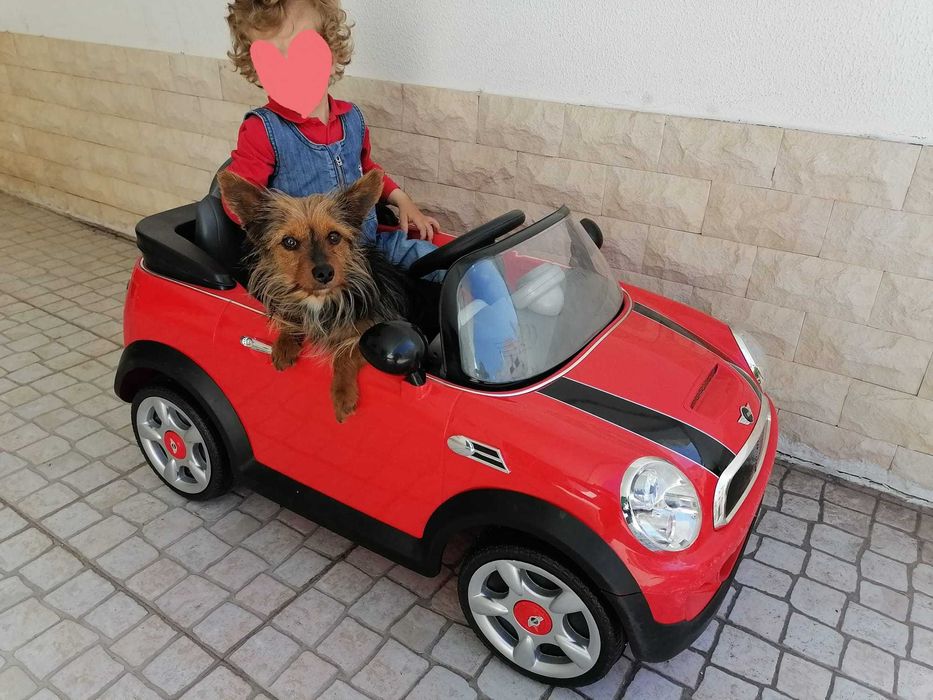Carro Mini Cooper Elétrico Criança - Uma prenda inesquecível!