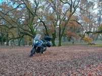 Cfmoto 650 MT  + Malas