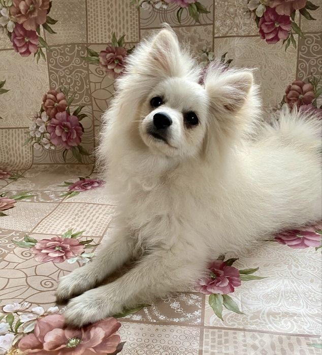 Розумна дівчинка