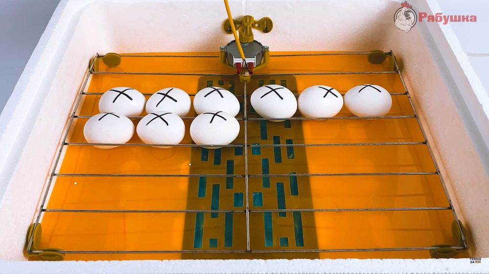 Инкубатор автоматический Smart 70яиц с вентилятор. Інкубатор цифровий