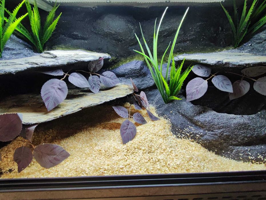 Terrarium tropikalne nr666 80/40/40 dla węża boa pyton NA ZAMÓWIENIE