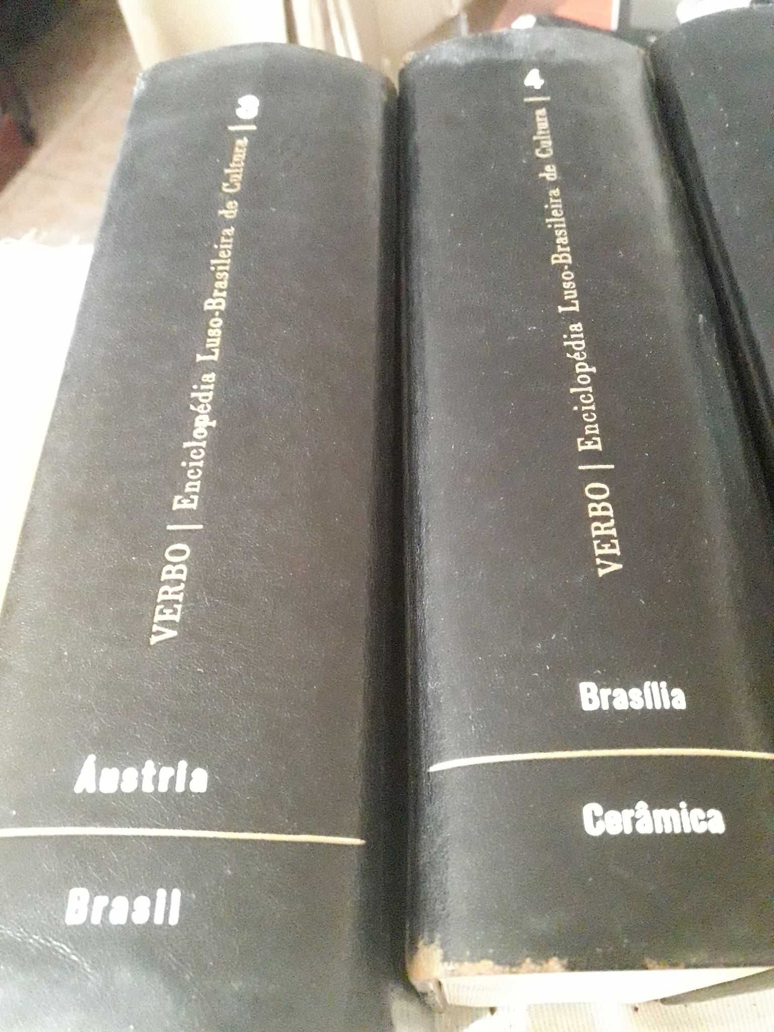 Livros/Enciclopédias de Língua Luso-Brasileira