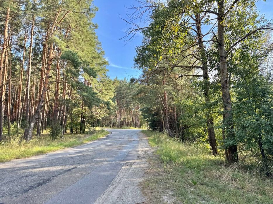 Заліснений масив під модулі/котеджі/базу відпочинку!