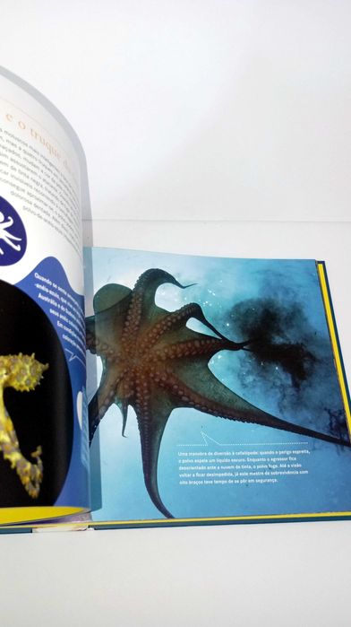 Bem Protegidos - Enciclopédia Juvenil da Natureza