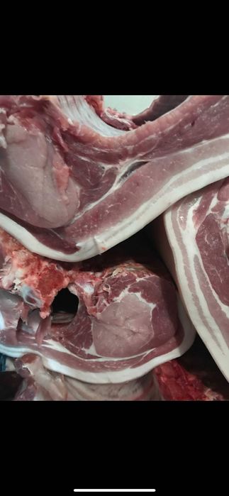 Продаж домашнього свиного м'яса Тушка 135 кг