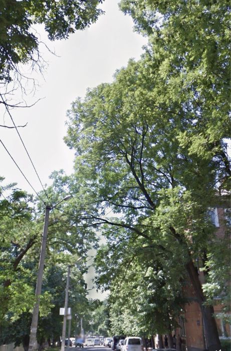 Прожаж комерц.прим./Герцена 54м2 на початку ближче до Головноі