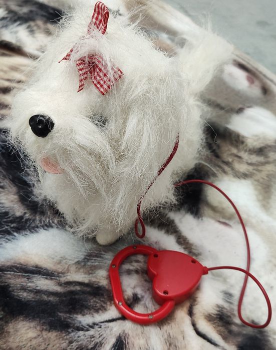 Kudłaty piesek na smyczy