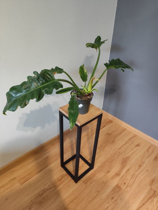Kwietnik stojak Loft