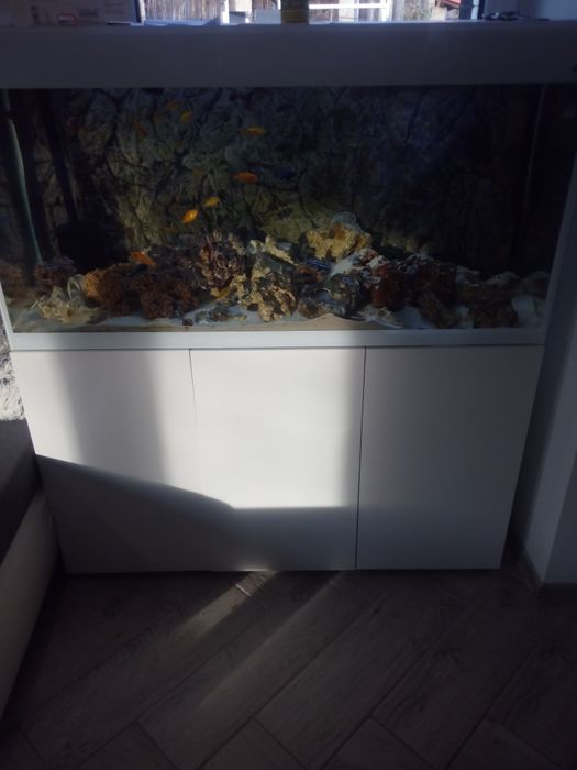 Akwarium Aquael Glossy 260l.