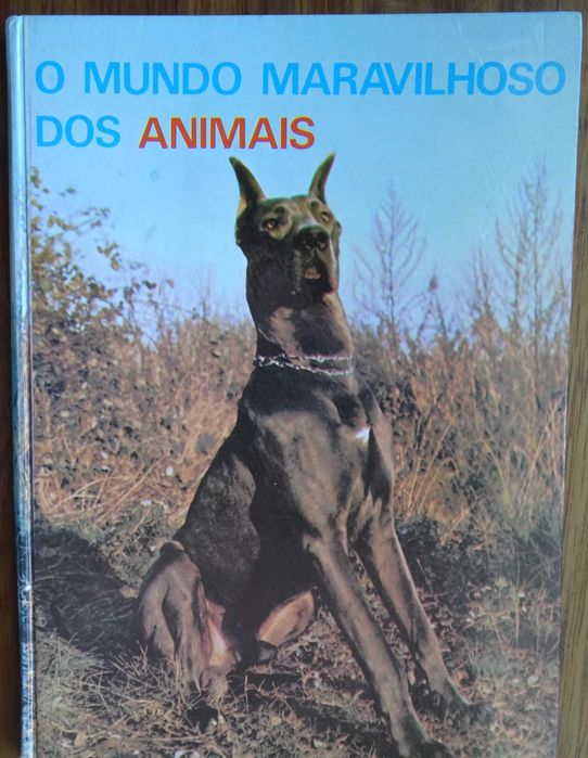 O Mundo Maravilhoso dos Animais
