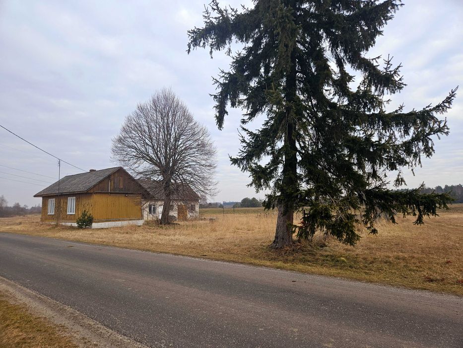 Siedlisko przy rzece Pilicy k. Koniecpola