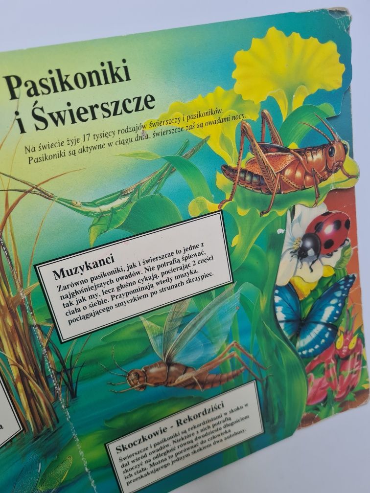 Wszystko o owadach... - Książka