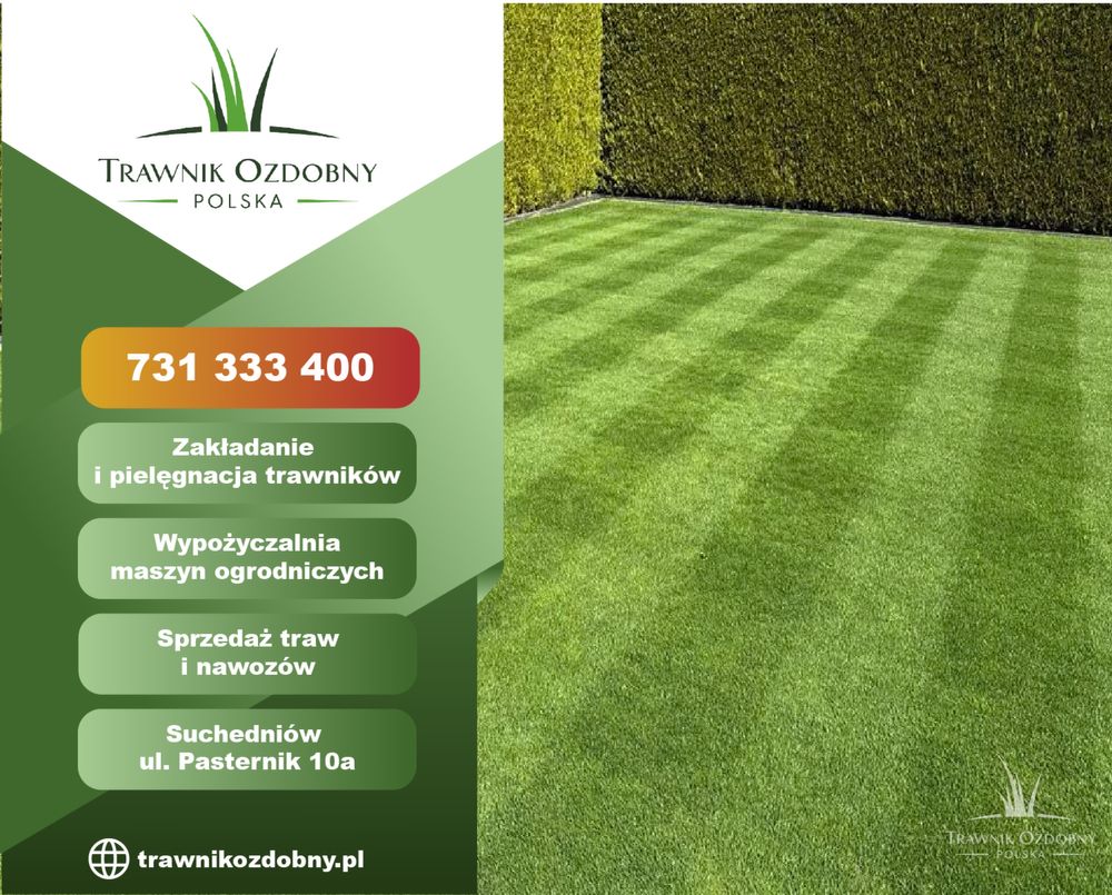 Trawnik Ozdobny. Zakładanie, nawadnianie, nawożenie, pielęgnacja.