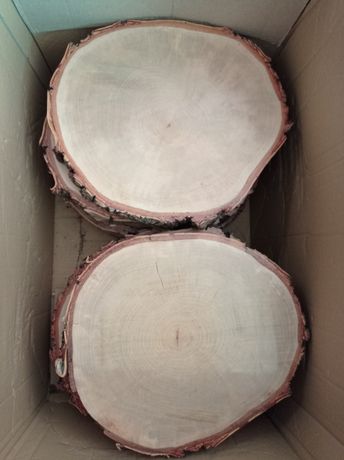 Plastry drewna śr. 28-32cm