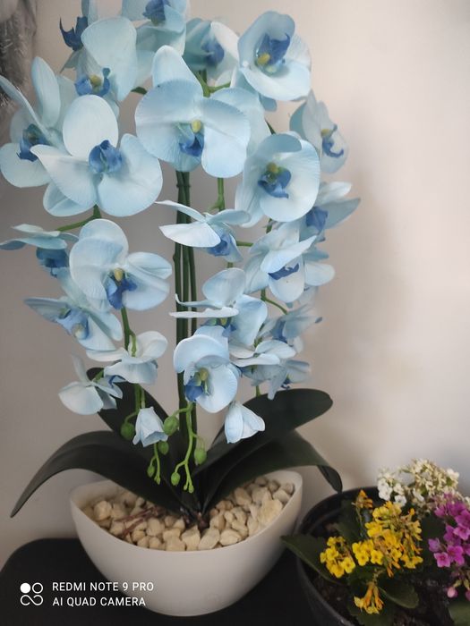 Sztuczny storczyk błękit